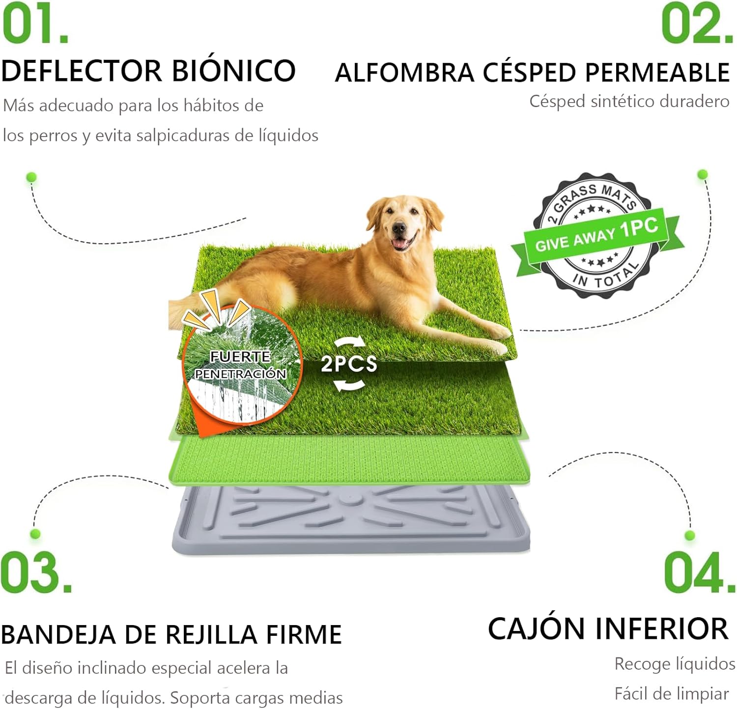 Miniatura 7 de Tapete entrenamiento Perro mas Cepillo